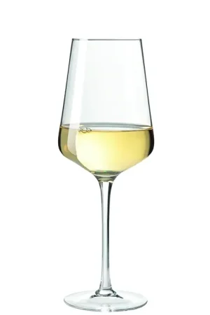 Betaalbaar Leonardo Puccini Witte Wijnglazen 0,56 L - 6 st.